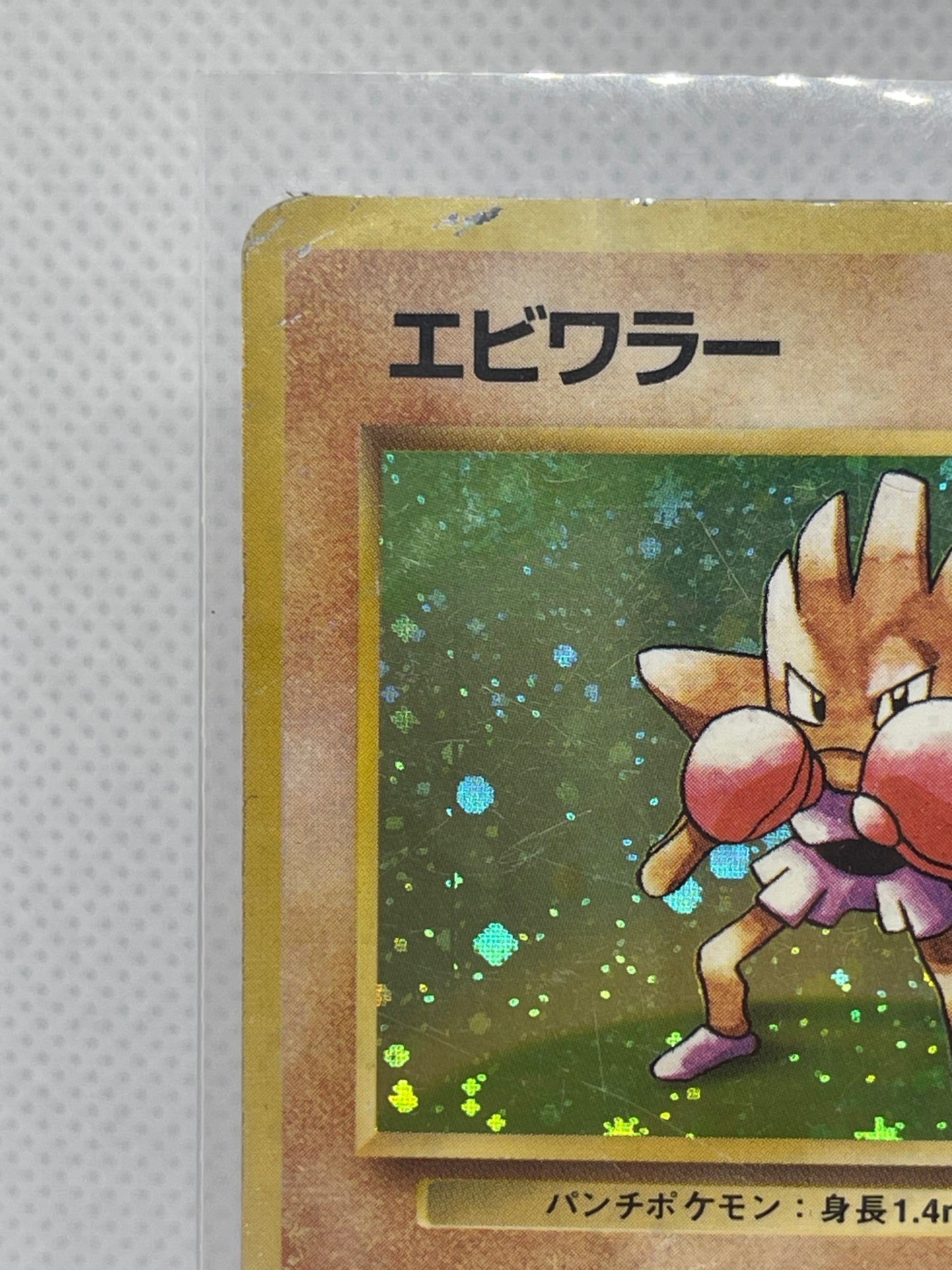 【旧裏★渦あり】エビワラー ホロ No.107｜渦巻ホロあり