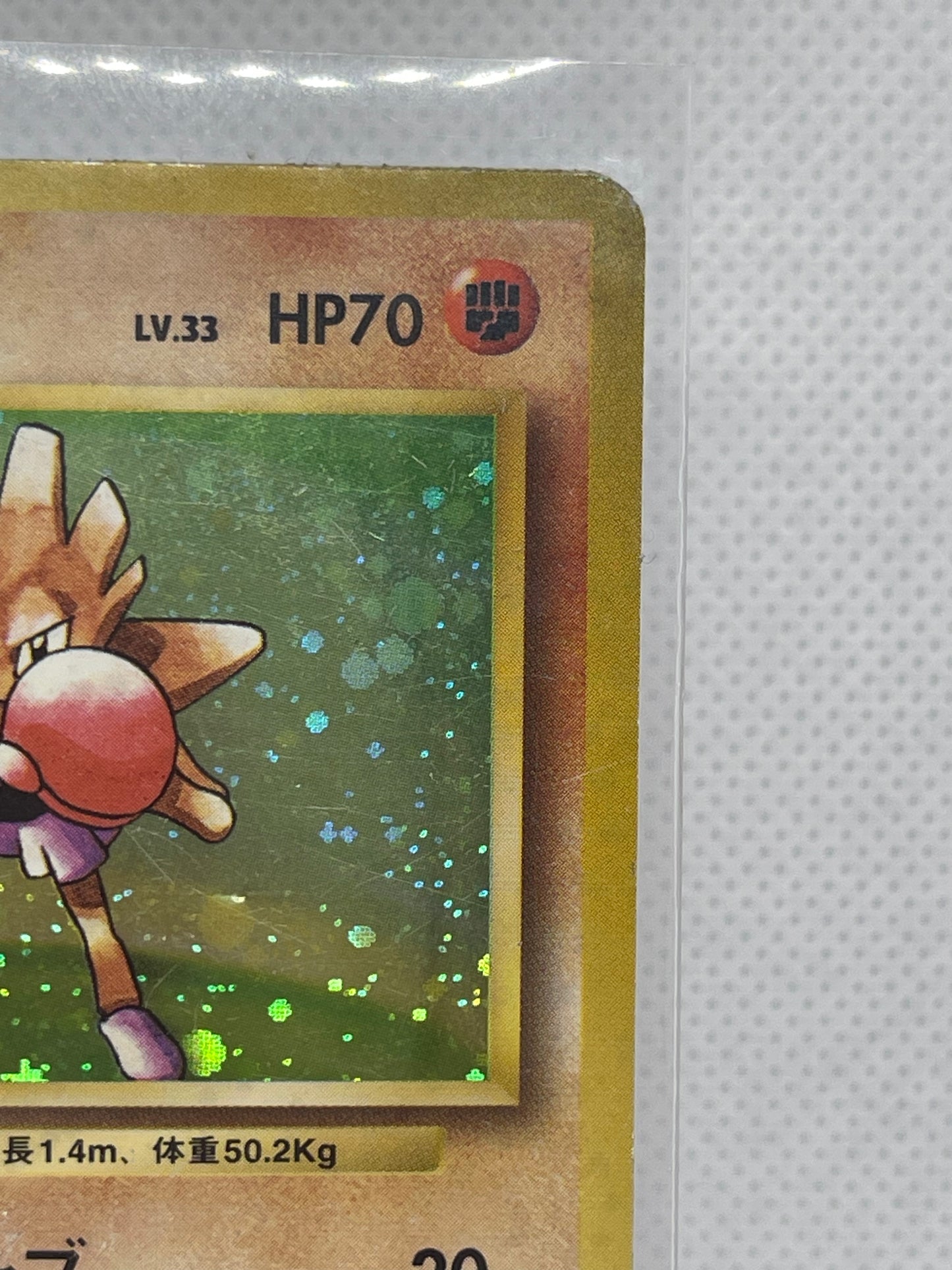 【旧裏★渦あり】エビワラー ホロ No.107｜渦巻ホロあり