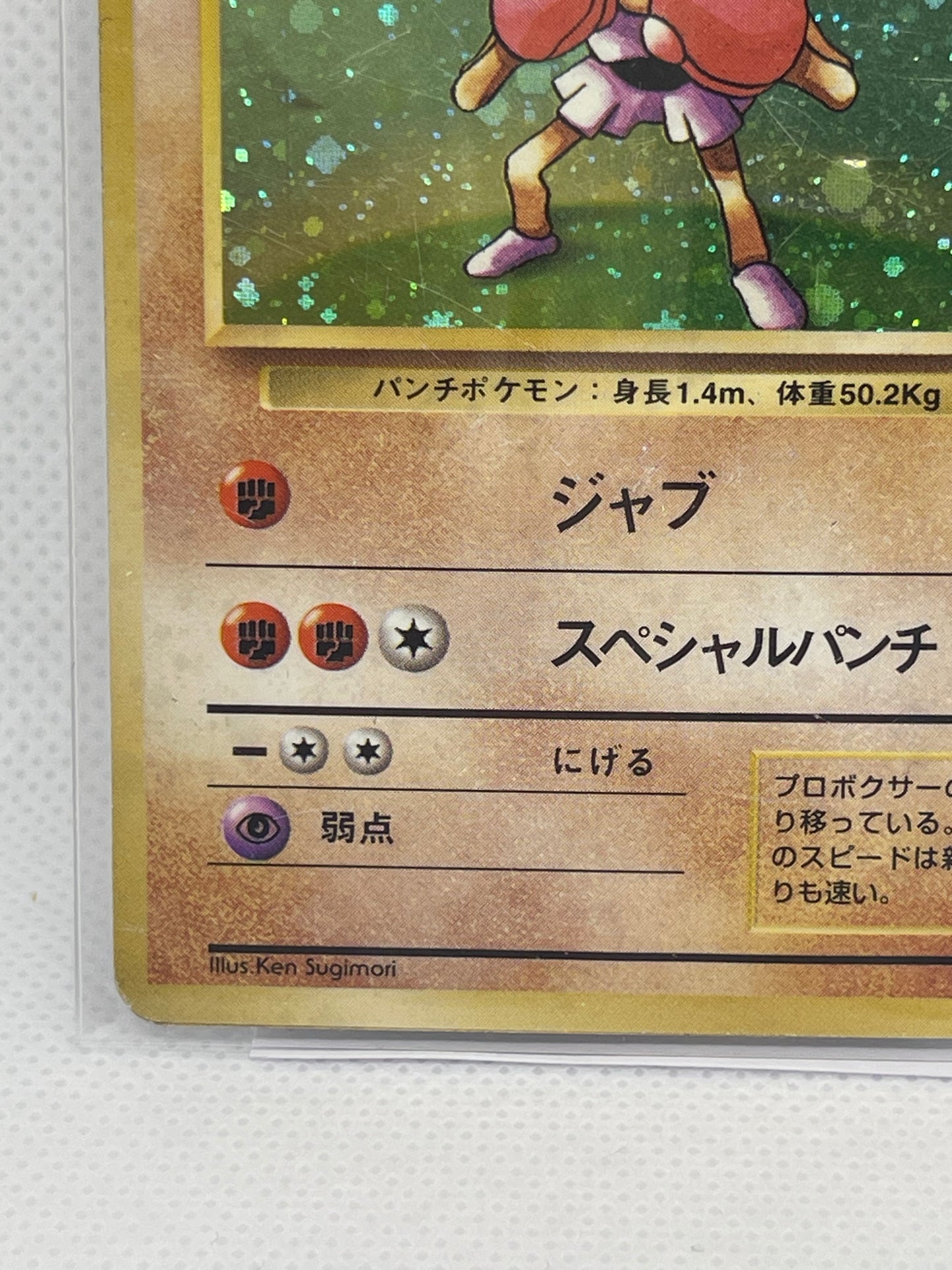 【旧裏★渦あり】エビワラー ホロ No.107｜渦巻ホロあり