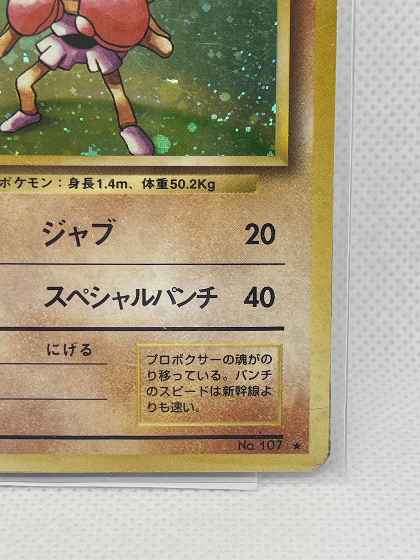 【旧裏★渦あり】エビワラー ホロ No.107｜渦巻ホロあり