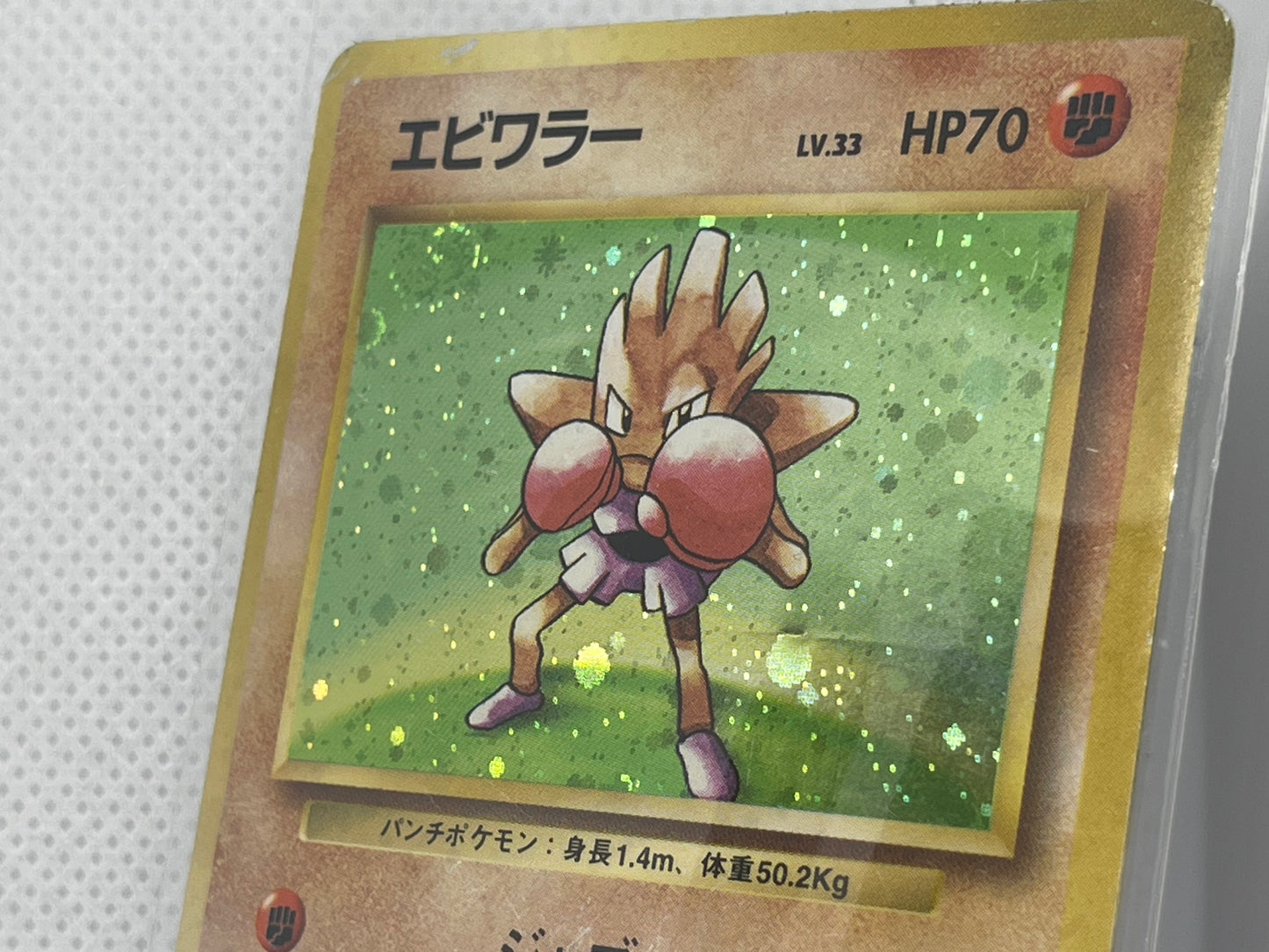 【旧裏★渦あり】エビワラー ホロ No.107｜渦巻ホロあり