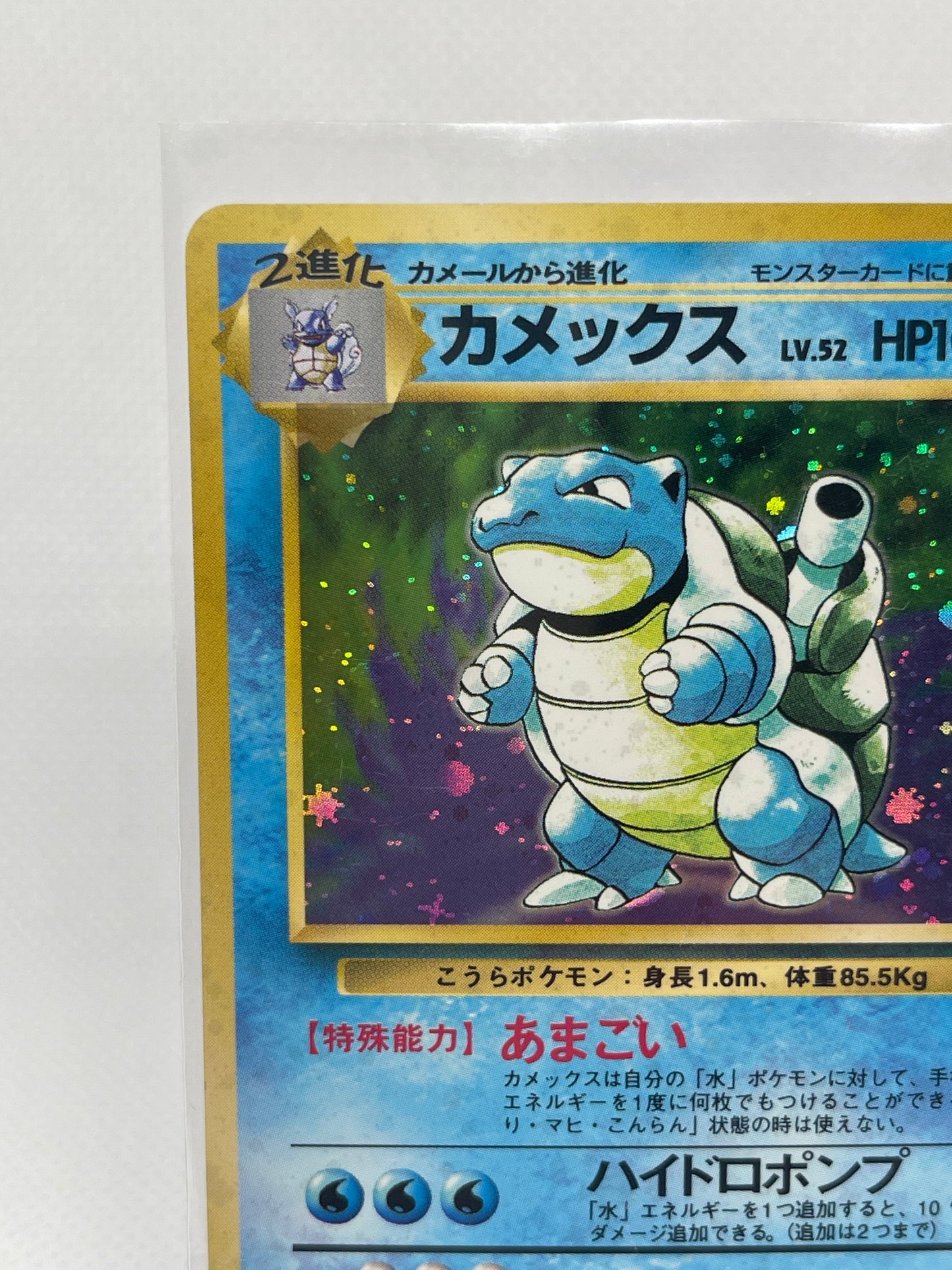 【旧裏★美品】カメックス ホロ No.009｜美品｜発色良好・海外向け人気個体