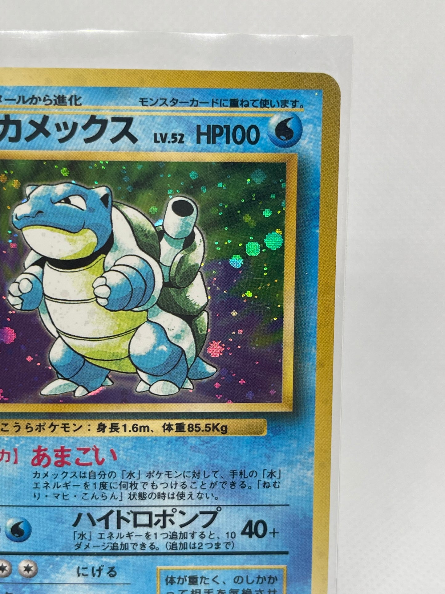 【旧裏★美品】カメックス ホロ No.009｜美品｜発色良好・海外向け人気個体