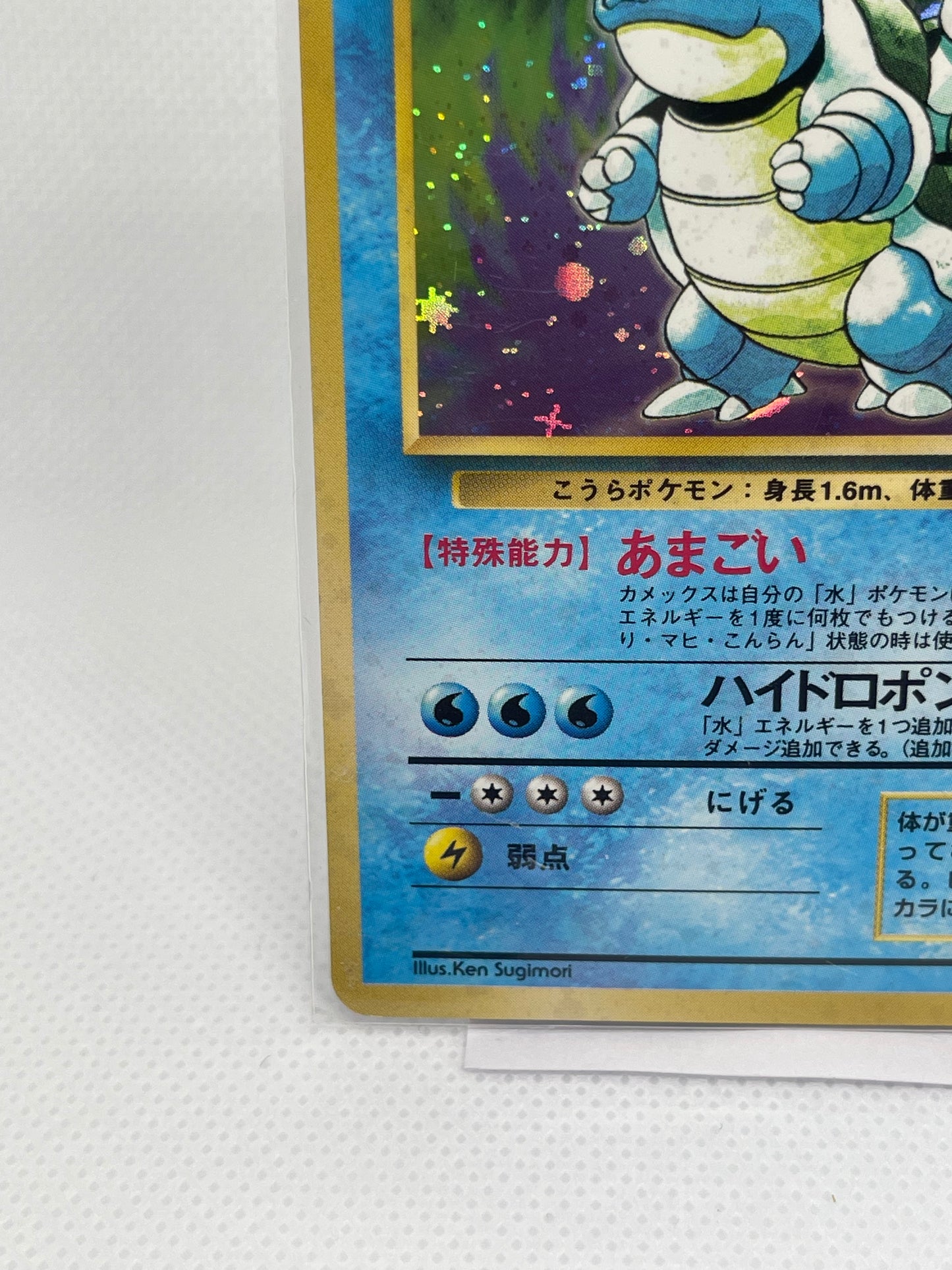 【旧裏★美品】カメックス ホロ No.009｜美品｜発色良好・海外向け人気個体