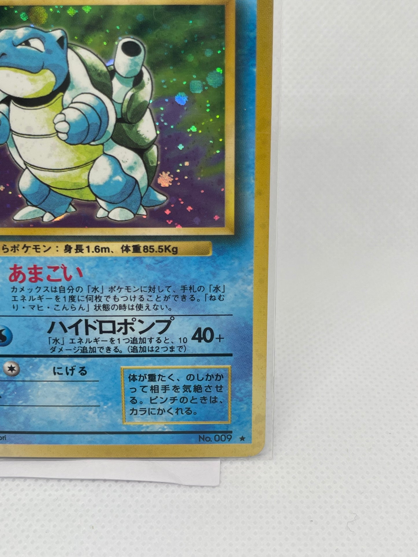 【旧裏★美品】カメックス ホロ No.009｜美品｜発色良好・海外向け人気個体