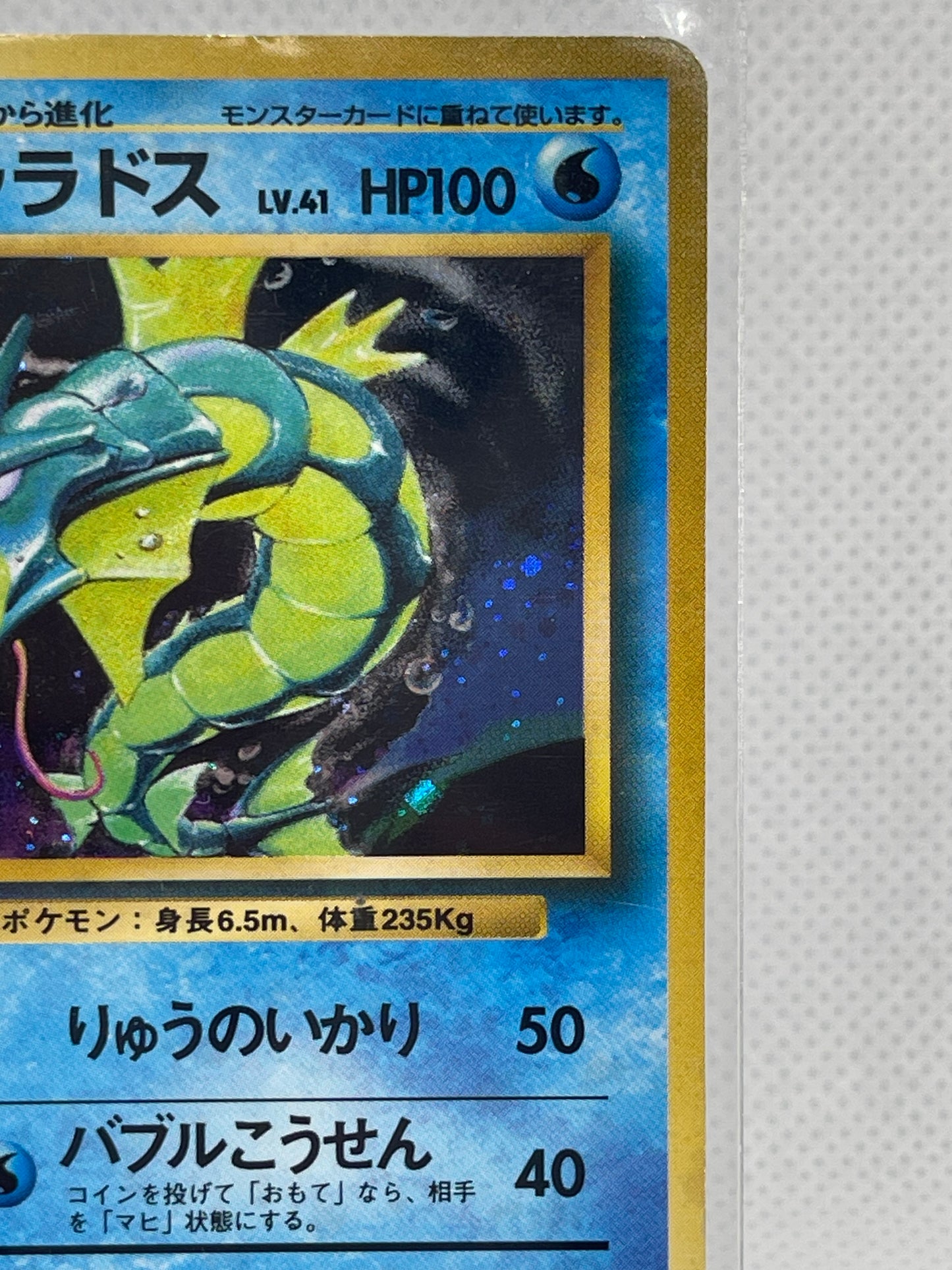 【極美品候補】旧裏 ギャラドス ★ ホロ PSA8-9期待・海外向け人気個体