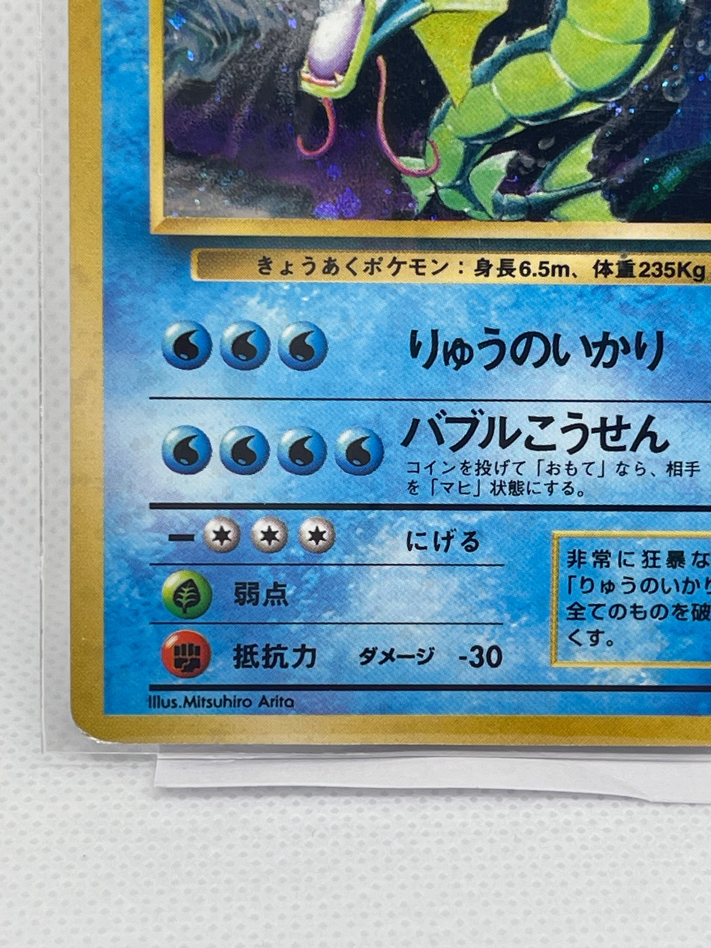 【極美品候補】旧裏 ギャラドス ★ ホロ PSA8-9期待・海外向け人気個体