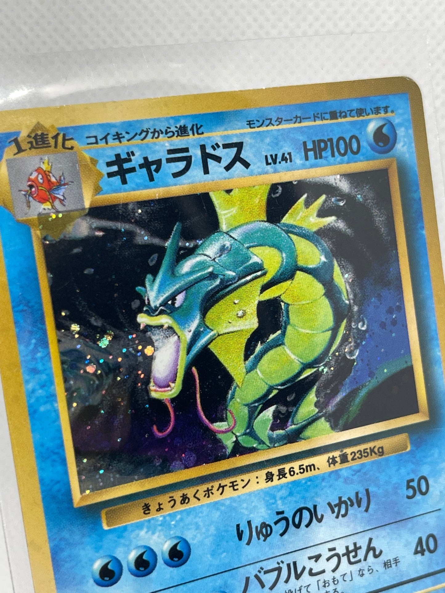 【極美品候補】旧裏 ギャラドス ★ ホロ PSA8-9期待・海外向け人気個体