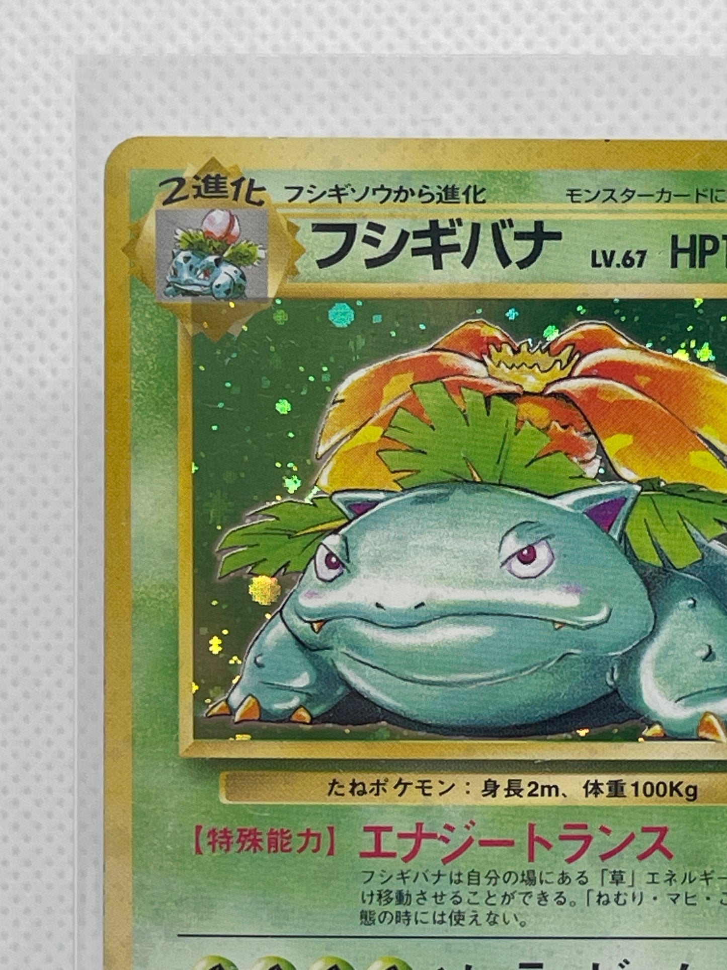 旧裏面 フシギバナ LV.67 HP100 No.003 ★ ホロ 1996年 初期 ポケモンカード 渦ホロ