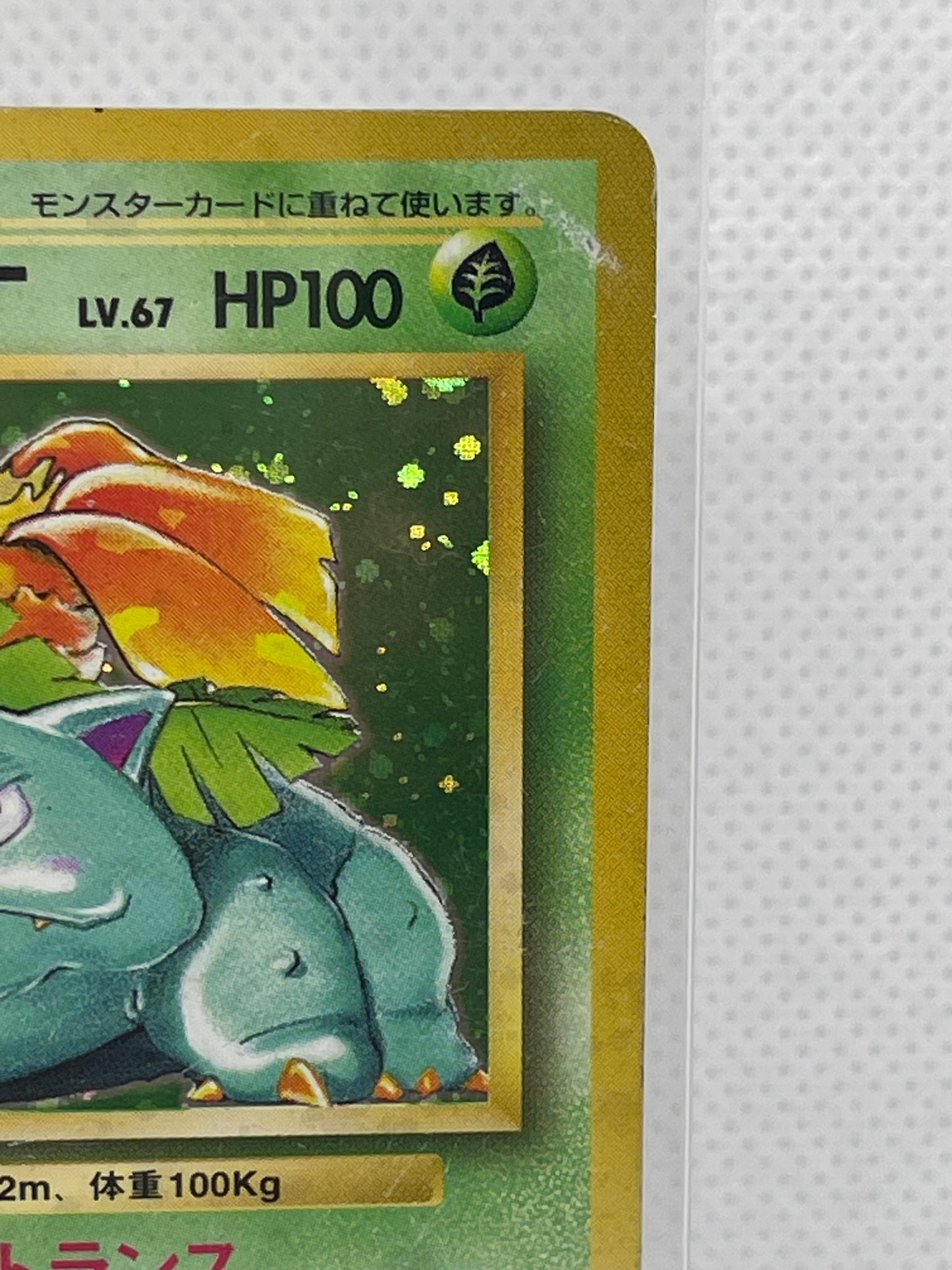 旧裏面 フシギバナ LV.67 HP100 No.003 ★ ホロ 1996年 初期 ポケモンカード 渦ホロ