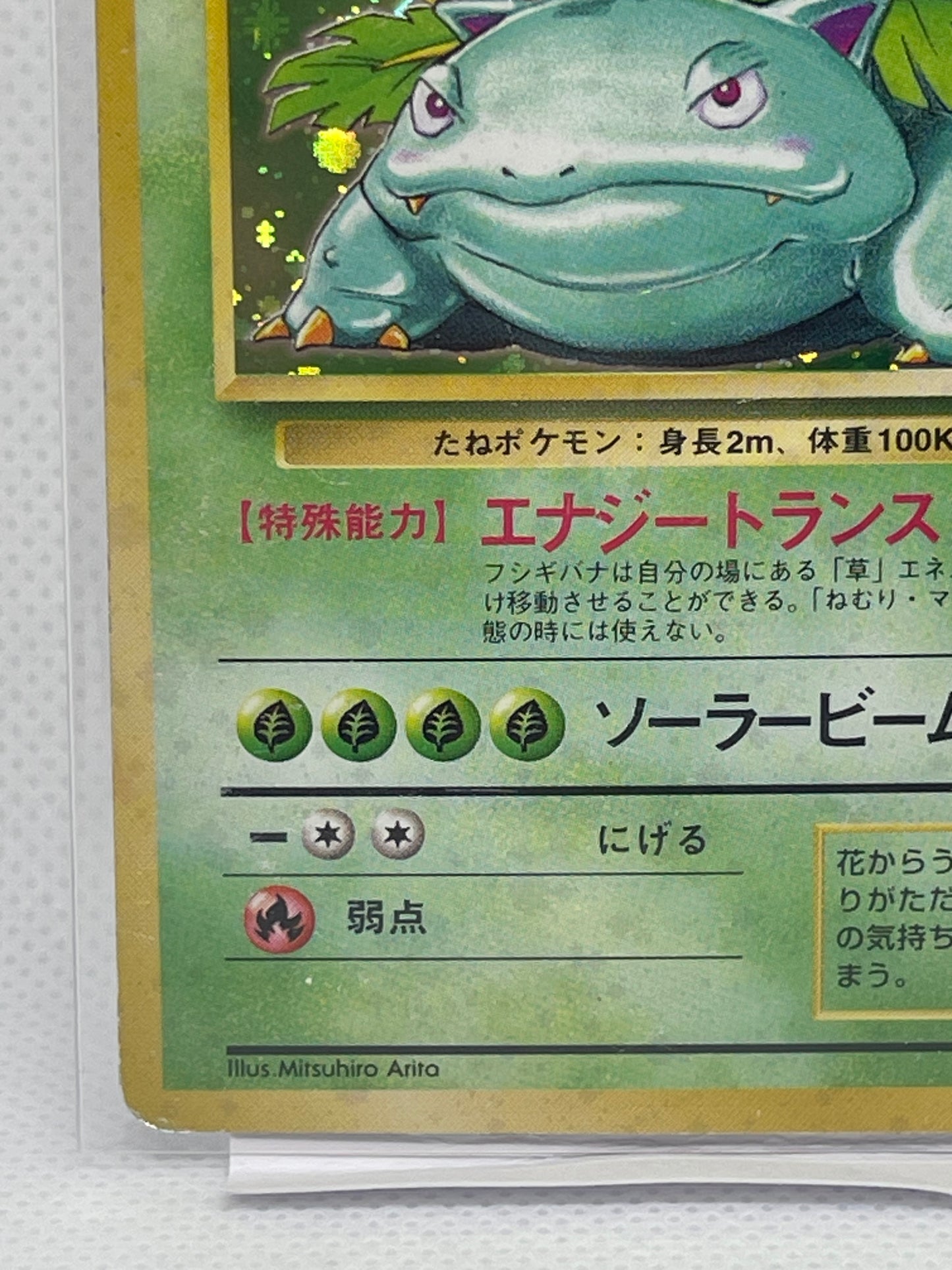 旧裏面 フシギバナ LV.67 HP100 No.003 ★ ホロ 1996年 初期 ポケモンカード 渦ホロ